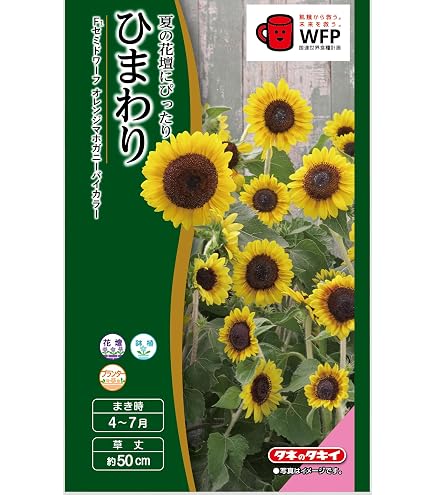 Amazon | タキイ種苗 花種 ひまわり サマーラバー | 野菜